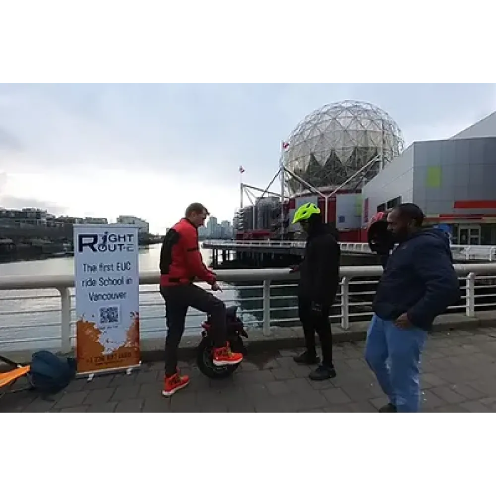 Full course for beginners - 100% money back guarantee